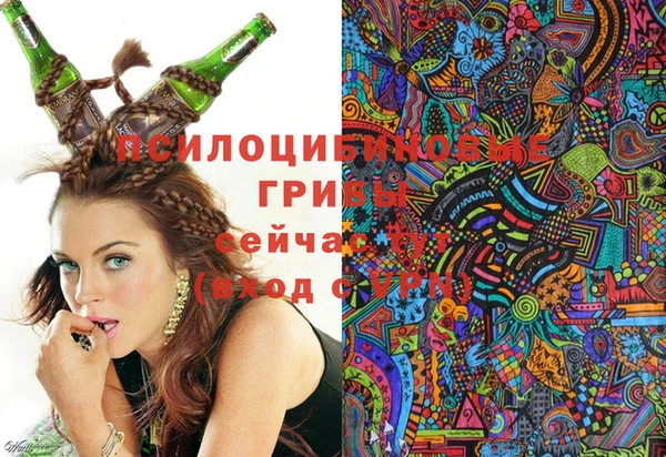 соль ск Абинск