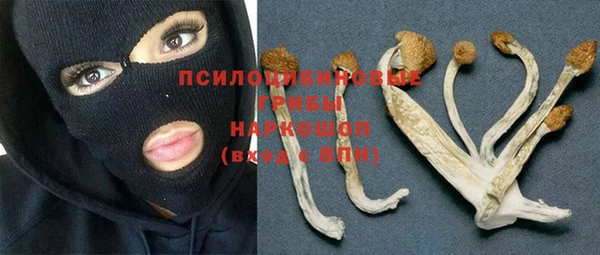 дурь Абаза