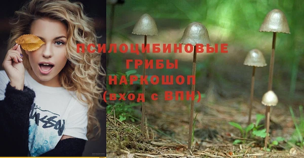 соль ск Абинск